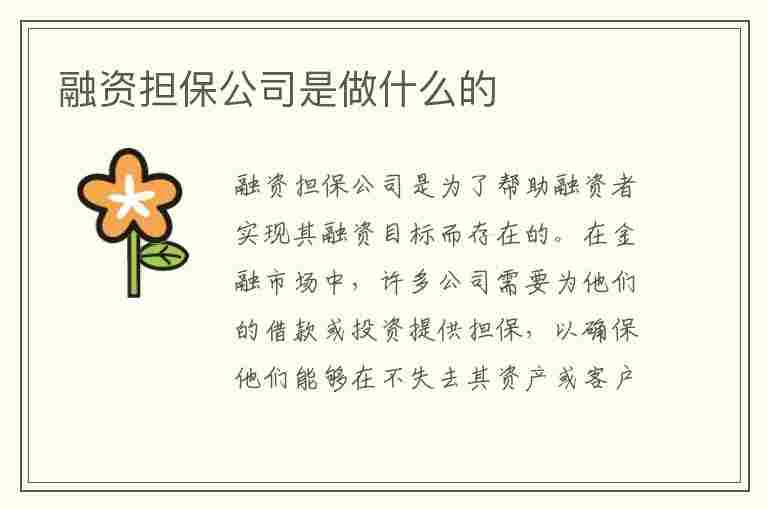 融资担保公司是做什么的(中小企业融资担保公司是做什么的)